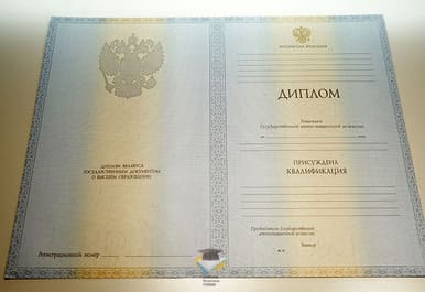 Диплом ВИ МВД РФ 2012-2013 годов